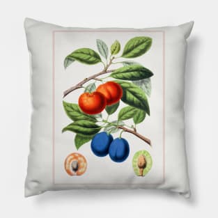 Hand drawn plum Pillow