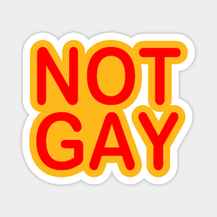 Not Gay Magnet