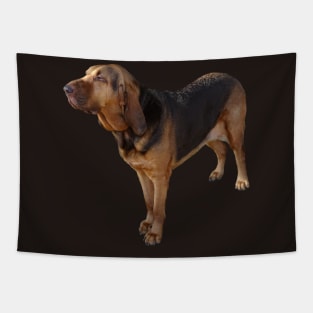 Bloodhound Tapestry