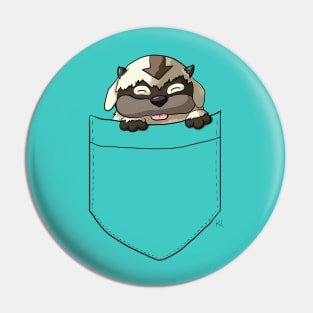 Baby Pocket Appa Pin