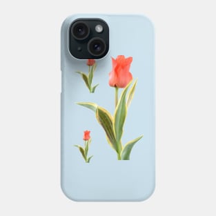 Tulipa  'Fire of Love'   Greigii Group  Tulip Phone Case