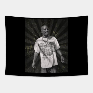 DMX Tapestry