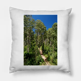 Forest Walk Pillow