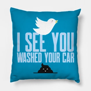 I see you just washed your car! Pillow