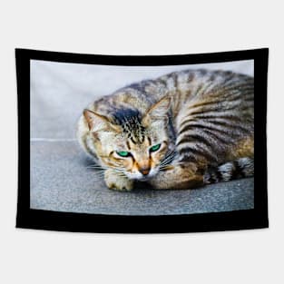 The cat with green eyes Tapestry