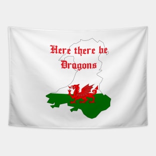 Here There Be Dragons - Wales Tee Shirt - Welsh Dragon Tapestry
