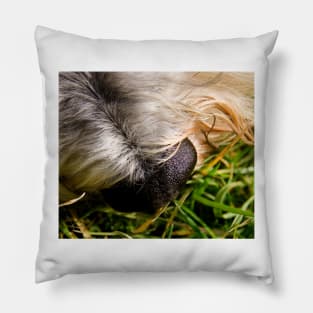 Smell the Grass Pillow