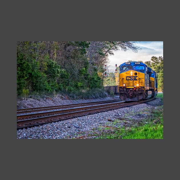 Train in South Carolina by Gestalt Imagery