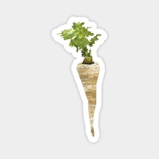 Parsnip Magnet