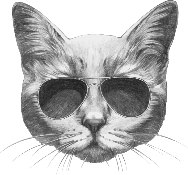 Cat with sunglasses Kids T-Shirt by AnimalsFashion