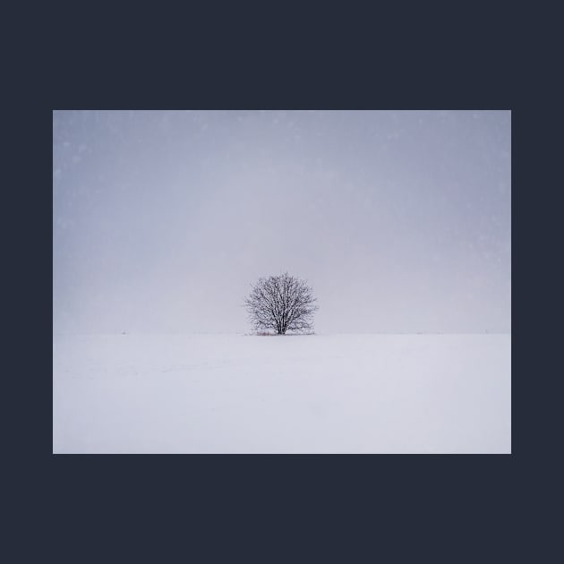 snowy lone tree by psychoshadow