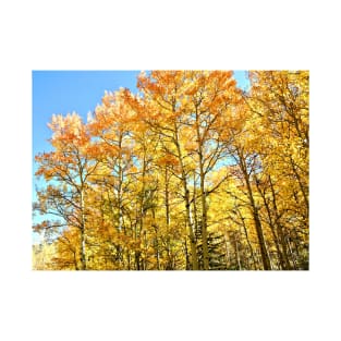 Fall Colors and Aspen Trees in Colorado T-Shirt