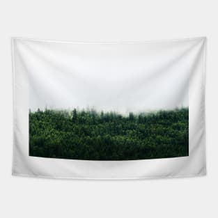 Canadian Mountain Woods in the Mist Tapestry