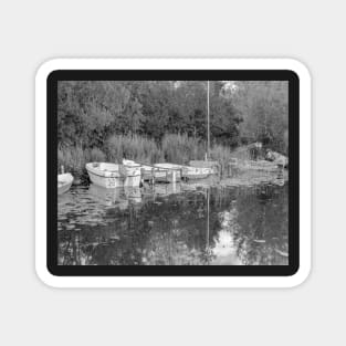 Boats moored at Barton Turf, Norfolk Broads Magnet