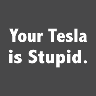 Your Tesla is Stupid T-Shirt