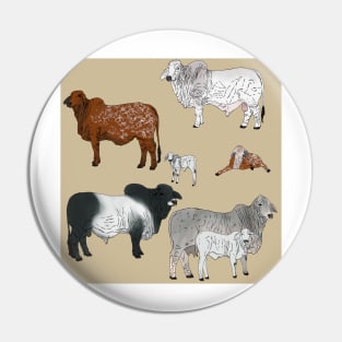 Brahman Cattle Tan Pin