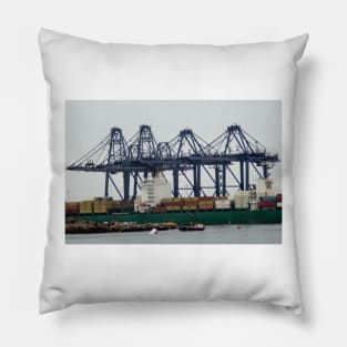 122514 shipping Pillow