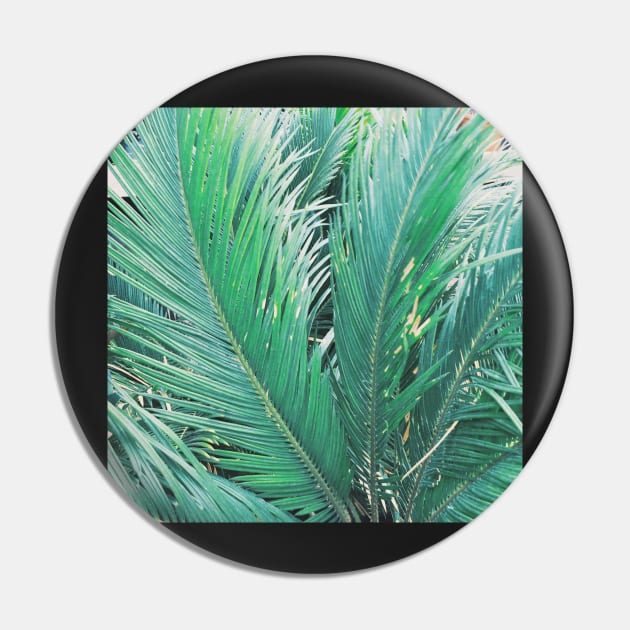Fronds Pin by Cassia