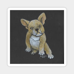 Frenchie Magnet