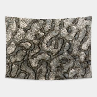 Volcanic Rock Pattern - Alternative Tapestry