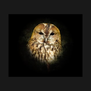 Tawny owl T-Shirt