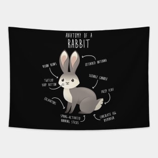 Rabbit Anatomy Tapestry