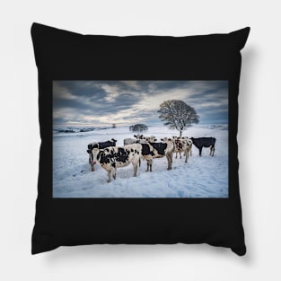 Cows in a Snowy Field with Trees Pillow