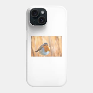 Robin in golden light Phone Case