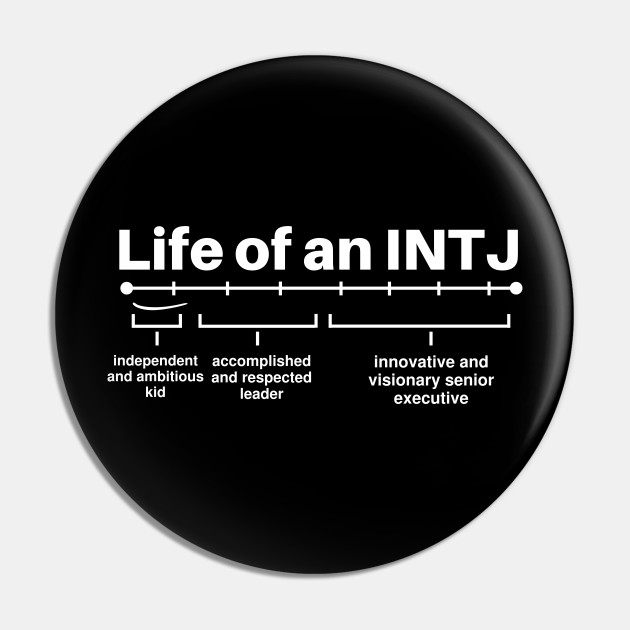 Life As An INTJ