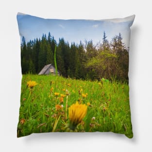 old house in the meadow Pillow