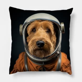 Astro Dog - Irish Terrier Pillow