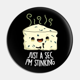 Just A Sec I'm Stinking Funny Cheese Pun Pin