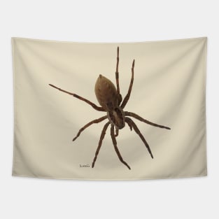 House spider Tapestry