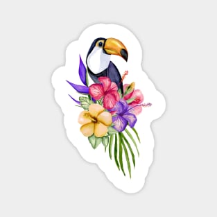 Toucan Magnet