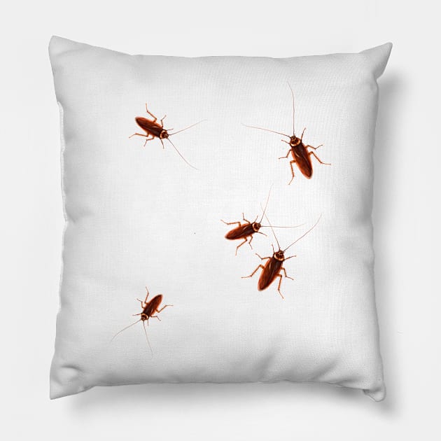 Creepy Roach Pillow by BDAZ