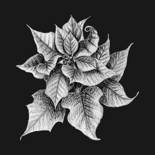 Black and white Poinsettia T-Shirt