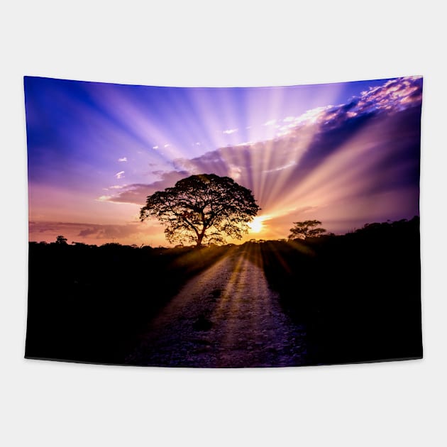 beautiful sunset in Venezuela Tapestry by rickylabellevie