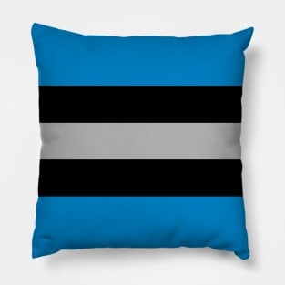 Carolina Color Stripes Pillow