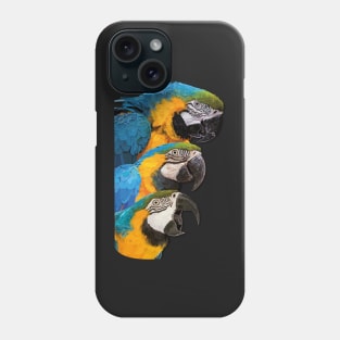 Blue-and-yellow Macaw Phone Case