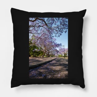 Under the Jacarandas Pillow