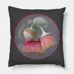 Rose Mallee Pillow