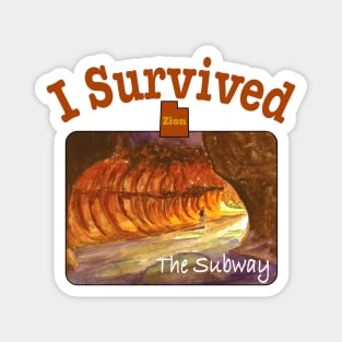 I Survived The Subway, Zion Magnet