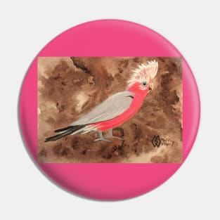 Galah cockatoo from Australia Pin