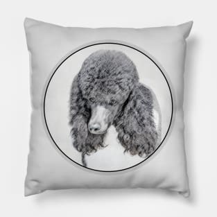 Standard Poodle Parti Color Pillow