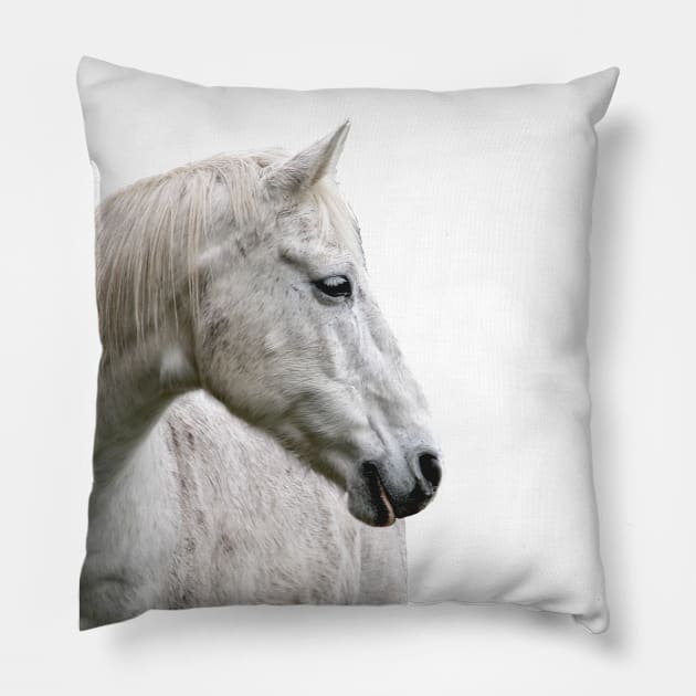 photo horse max Pillow by mystudiocreate