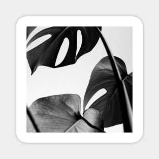 Black Leaves Decoration Magnet