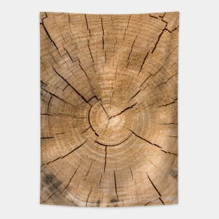 Wooden Tree Circle Texture - Alternative II Tapestry