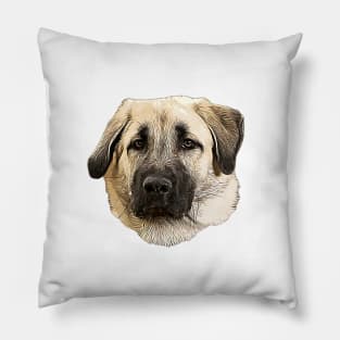 Kangal Shepherd Dog Pillow