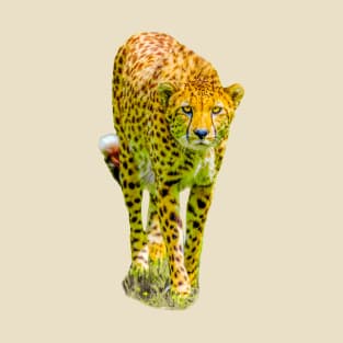 Stalking Cheetah T-Shirt