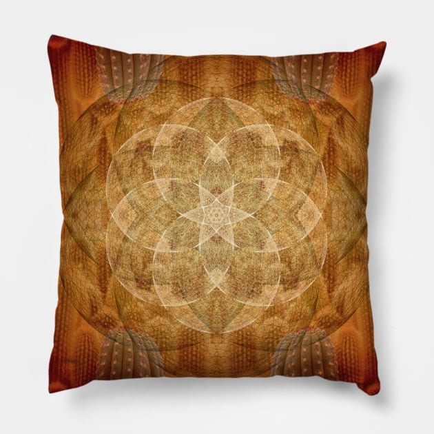 ∆ : Infinite Pillow by JetterGreen